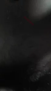 无套插黄毛眼镜妹最后射她一屁股