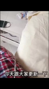 重庆 精品 家里草