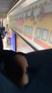 商场露出大骚屄2